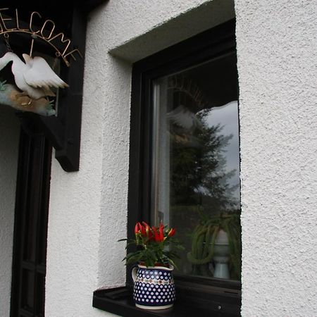Ferienwohnung Am Steinbachtal Thale Bagian luar foto