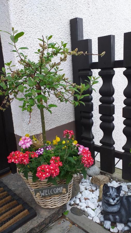 Ferienwohnung Am Steinbachtal Thale Bagian luar foto