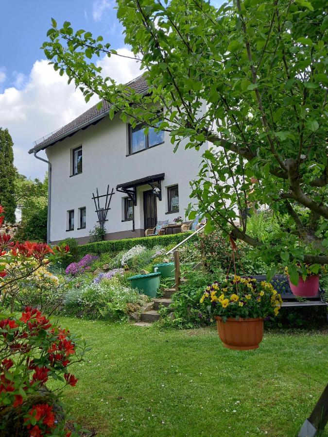 Ferienwohnung Am Steinbachtal Thale Bagian luar foto
