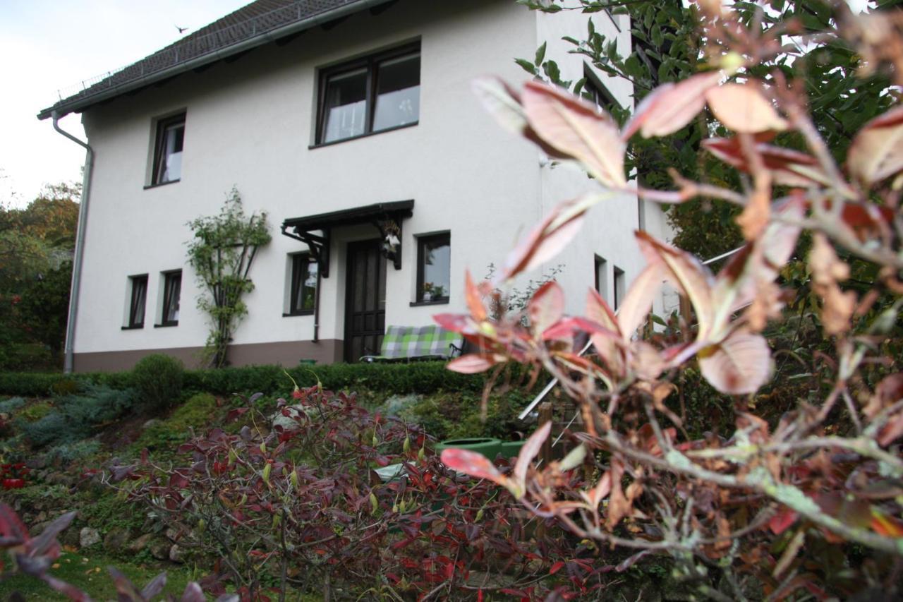 Ferienwohnung Am Steinbachtal Thale Bagian luar foto