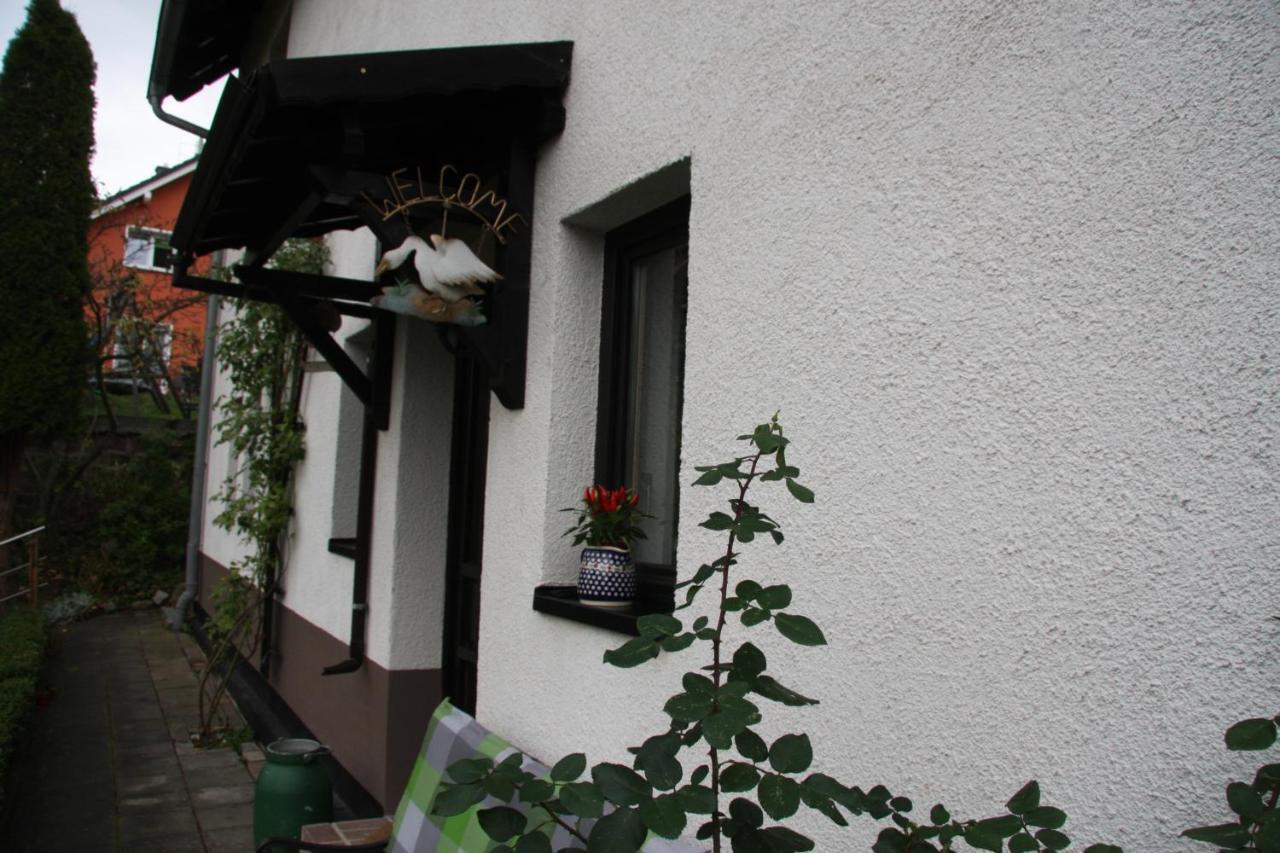 Ferienwohnung Am Steinbachtal Thale Bagian luar foto
